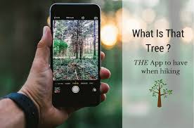 Popular ios and android apps to help you identify your tree easily. What Is That Tree App Tree Identification Guide Anglin Brothers