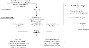 Beyond Chronic Kidney Disease The Diagnosis Of Renal