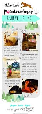 5 reasons to consider veterinary acupuncture. 20 Chloe Bear Pawdventures Ideas Paint Your Pet Bear Chloe