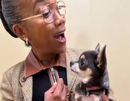 Ready for Will Trent Season 4? 🥳😍🥰