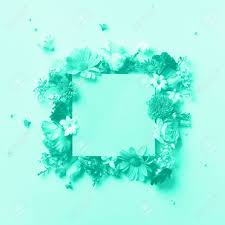 Check spelling or type a new query. Frame Of Mint Flowers Over Mint Color Background Valentines Stock Photo Picture And Royalty Free Image Image 131735201