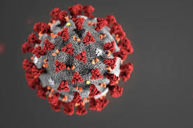 The lambda variant is now a virus of interest, according to the world health organization. Lambda Covid Variant In California 5 Things To Know Kpbs