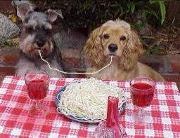 Lady The Tramp In Real Life Cocker Spaniel Puppies Cocker Spaniel Dog Lady And The Tramp