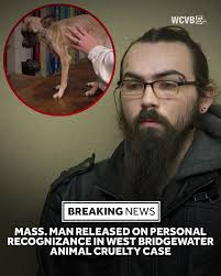 What can I do to prevent my pipes from freezing in my well-insulated house  with heat tape and space heater?