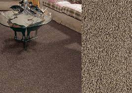 Positive emotions from our work and prices are definitely guaranteed to you! Carpet Buying Guide At Menards
