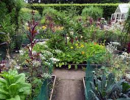 Chicago Garden Urban Farming Google Search Vegetable Garden Design Potager Garden Urban Farming