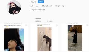 I know you know how i feel. Instagram S Bitch Isn T Your Typical Social Video Aggregator It Actually Credits Content Creators And Licenses Their Work Tubefilter