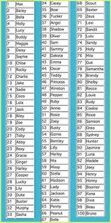 Female dog names with meaning protector. 10 Pet Names Ideas Names Pet Names Dog Names