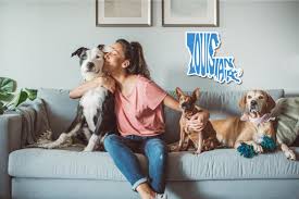 Louisiana-Inspired Pet Names That Don't Suck