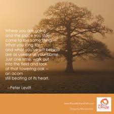 Tall/great oaks from little acorns grow definition: Quotes About Acorns And Oaks Quotesgram