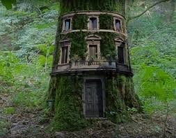 Une Maison Dans Un Tronc D Arbre Creatif Et Etrange Belles Cabanes Maison Dans Les Arbres Cabane Dans Les Arbres