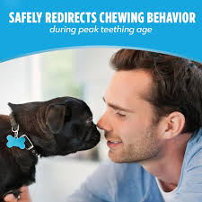 Amazon.com: Dentalife Puppy Teething Dog Chews for Small Dogs 3 Months and  Up, Chicken Flavor, 1.08 lb., 50 Chews