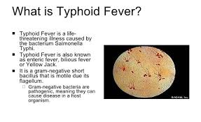 Gauteng has recorded 45 cases and there are 18 cases in the . Typhoid Fever What You Need To Know Insurance Chat