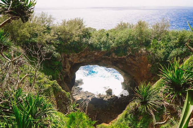 Eua Island Forest Cliffs Hiking Wild Tonga