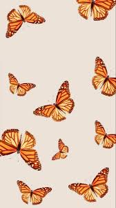 Wallpaper kupu kupu cantik your title source: Pin By Florencia Dayana Torres On Wallpapers In 2020 Butterfly Wallpaper Iphone Butterfly Wallpaper Homescreen Wallpaper