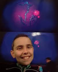 Beauty and the Beast 30th Anniversary North American Tour • • • • • • • In  the summer of 2006, I saw my first Broadway show, Beauty and the Beast, at