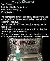 The Best Chemical Free Overnight Oven Cleaner The Whoot Cleaning Hacks Household Cleaning Tips House Cleaning Tips