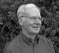 Hospice Tree Lights the Way Once Again This Holiday Season