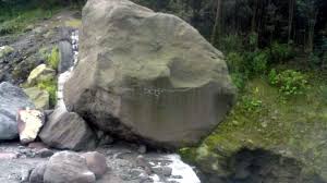 Nilep duit emak buat mabok putri durhaka dikutuk jadi ikan pari pintu taubat. Cerita Mitos Viral Dari Ikan Pari Hingga Hiu Berwajah Manusia Judi Online Indonesia