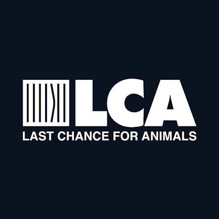 Last Chance for Animals (LCA) | Los Angeles CA