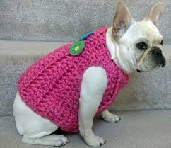 Www.frenchienpug.com mini french bulldogs french bulldog lyfe stuff clothes puppies black funny brindle miniature white micro blue cream baby #frenchbulldogclothesdiy. Dogs French Bulldog In Hot Pink Crocheted Sweater Nice Pinb Crochet Dog Hat French Bulldog Crochet Dog