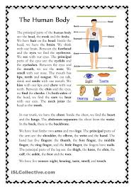 The Human Body Human Body Vocabulary Human Body Worksheets Human Body Reading