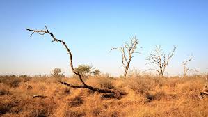 Umbuso weswatini), or the kingdom of eswatini, in southern africa, is one of the smallest nations on the african continent, with its total area equaling just over 6,700 sq miles (17,000 square km) and a population estimated in 2005 as slightly more than 1 million. Hd Wallpaper Swaziland Africa Natural Savannah Landscape Horizon Dead Trees Wallpaper Flare