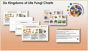 Six Kingdoms Fungi Chart Labels Printable Package