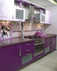 purple kitchen cabinets, modern kitchen