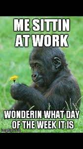 So, here are some funny memes about work that every worker can relate to at some point in their career. Me Sitting At Work Work Humor Workplace Humor Funny Pictures