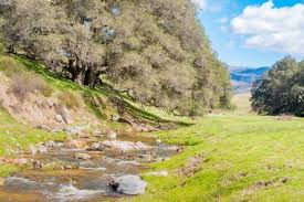 Steven and i hike the three sisters waterfalls trail at the end of september, located in julian, california. 11 Best Things To Do In Julian California