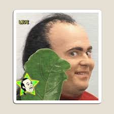 Tim Heidecker Magnets for Sale