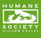 901 ames ave, milpitas (ca), 95035, united states. Humane Society Silicon Valley Bay Area Volunteer Information Center