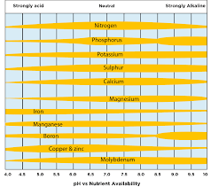 the role of ph in a hydroponic nutrient solution and how to