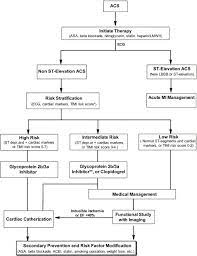 Since the turn of the twentieth century, morphine, an opioid analgesic, has played an integral role in the management of pain in myocardial infarction (mi). Modern Management Of Acute Myocardial Infarction Sciencedirect