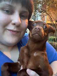 Lost Pets Of Livingston Parish Group