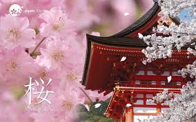 The people of japan and millions of tourists should now be enjoying the start of the cherry blossom viewing, or hanami, season. Japanese Cherry Blossom Tours 2021 2022