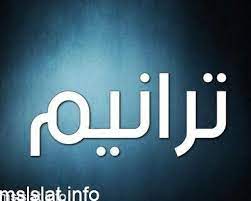 وورد بيرفكت برنامج معالجة نصوص صحيفة ترانيم