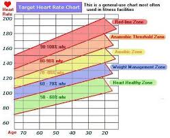 Image Result For Exercise Heart Rate Chart Resting Heart
