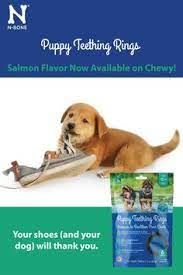 N bone puppy teething ring safe. N Bone Puppy Teething Rings Salmon Flavor Dog Treats 6 Count Chewy Com Puppy Teething Puppies Puppy Find