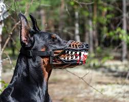 With tenor, maker of gif keyboard, add popular smiling dog with big teeth animated gifs to your conversations. Smile Dog Muzzle Adjustable With Smiling Teeth Dog Muzzle Funny All Sizes Dog Supplies Training Obedience