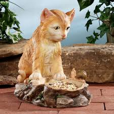 Use them in commercial designs under lifetime, perpetual & worldwide seriously, a cat is a great pet and all cat images fantastic, so please browse our huge collection of cat pictures so stocky will stop pouting. Natural Curiosity Cat Bird Feeder
