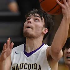 Boys basketball notes: Senior forward Jake Shanholtzer plays 'with flat-out  heart'