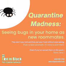 Categories:pest control, animal control, pest control information & referral services, pest control services, pest control services status:inactive. Men In Black Pest Control Services Inc Home Facebook