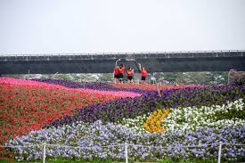 最即時專業的台股大盤, 加權指數, 讓您掌握台股與全球股市關聯脈動, 以及即時買賣力道, 現股當沖, 外資進出成本, 類股表現, 近期表現,法人買賣超,資券增減, 法人累積進出, 十大交易人累積進出, 日k線, 長期歷史k線等多樣資訊. èµ°æ˜¥å¥½æ‹æƒ…å ± 2020å±æ±ç†±åšç™»å ´openå®¶æ—æˆå½©ç¨»ä¸»è§'