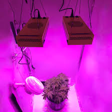 Ipower hps grow lights store in california specializes in electronic ballasts, hps mh bulbs, reflectors, hoods and accessories for growing your plants. Micmol Bloombee Series Bb240 240w Replace 300w Hps Mh 12 Band Evo Led Grow Light Dual Veg Bloom Full Spectrum