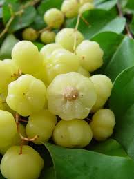 Caribfruits Surelle Fruits Des Antilles Fruits Tropicaux Fruits Fruits Exotiques