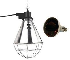 Get the best deals on heat lamp backyard poultry & waterfowl supplies. Dog Heat Lamps Products For Sale Ebay