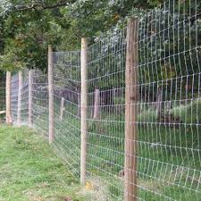 Images Of Fences Quality Deer Fencing Throughout The Uk Deer Fence Fence Backyard Fences