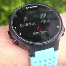 Garmin Connectに 走った地図が表示されない T T 対処法 Run Travel
